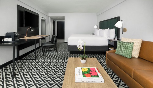 Room, 1 Queen Bed, Mobility Accessible (Roll-in Shower | Interior)