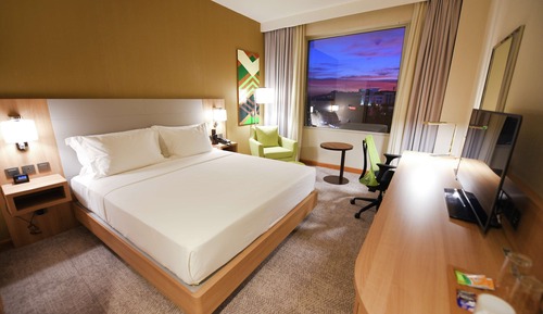 Room, 1 King Bed