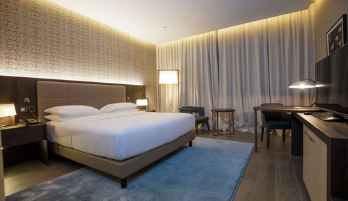 Room, 1 King Bed