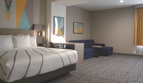 Executive Room, 1 King Bed, Non Smoking