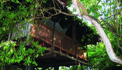Family Tree House (Tano)