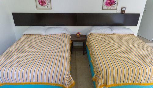 Junior Room, 1 King Bed, Non Smoking