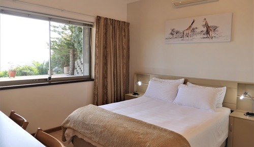 Comfort Apartment, 1 Queen Bed, Ocean View
