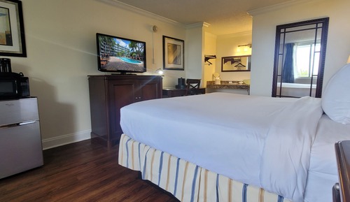 Traditional Room, 1 King Bed, City View