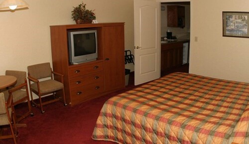 Suite, 1 King Bed with Sofa bed