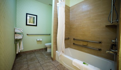 Suite, 1 King Bed with Sofa bed, Accessible Bathtub (Communications)