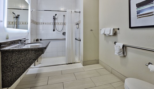 Studio Suite, 1 Queen Bed, Roll-in Shower, Kitchen (Mobility Accessible)