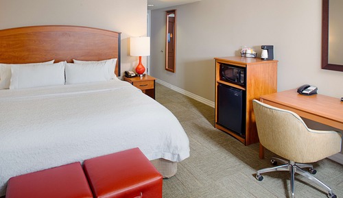 1 King Bed, Accessible with Tub