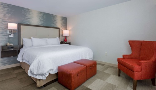 Room, 1 King Bed, Non Smoking (Drinks and Snacks)