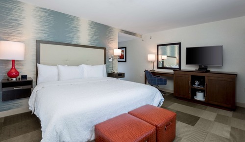 Room, 1 King Bed, Accessible, Non Smoking
