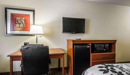 Room, 1 King Bed, Non Smoking