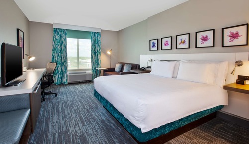 Room, 1 King Bed, Accessible (Mobility & Hearing - Roll-in Shower)