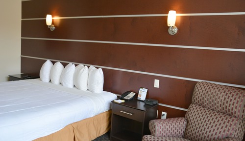 Room, 1 King Bed, Non Smoking (Pet-Friendly)
