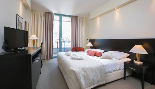 Standard double/twin mountain side room single use