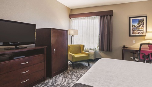 Room, 1 King Bed, Accessible, Non Smoking (Mobility/Hearing, roll-in shower)
