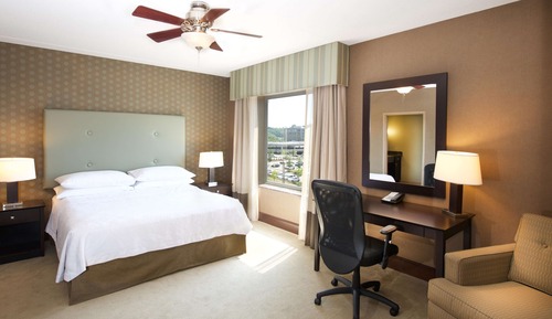 Room, 1 King Bed, Non Smoking (Non-Suite)