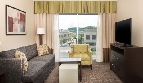 Suite, 1 Bedroom (1 King Bed)