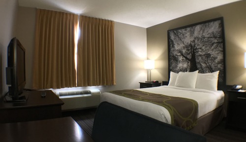 Suite, 1 King bed with Bunk Beds