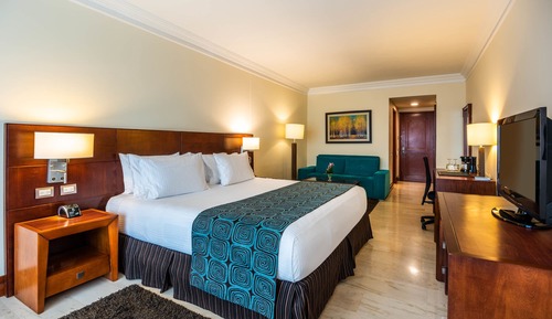 Superior Double Room, 1 King Bed with Sofa bed