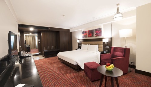 Executive Suite, 1 King Bed