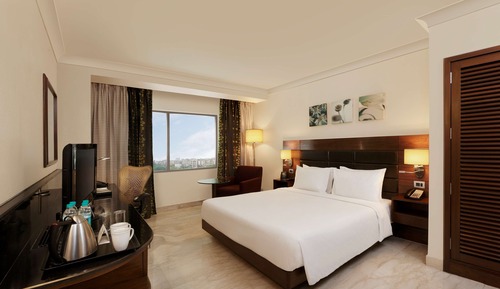 Room, 1 King Bed, Accessible