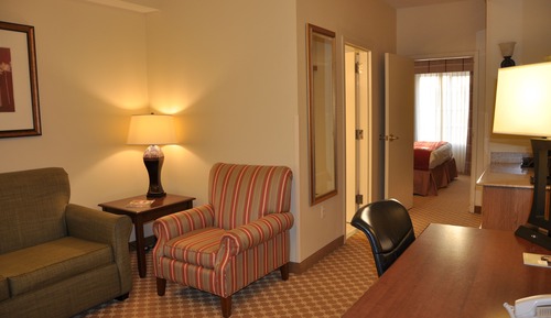 Studio Suite, 1 King Bed with Sofa bed, Non Smoking