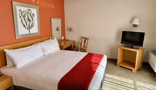 Executive King Room