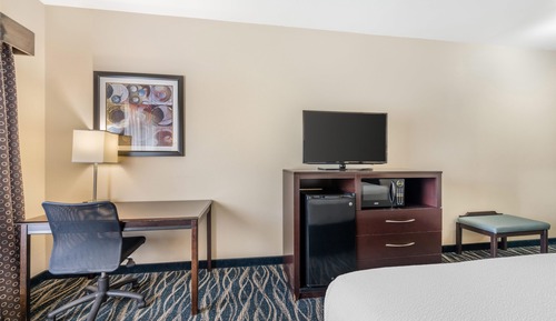 Standard Room, 1 King Bed, Non Smoking, Refrigerator & Microwave