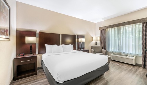 Standard Room, 1 King Bed, Accessible, Non Smoking