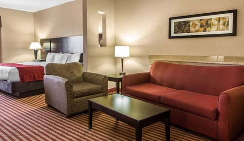 Suite, 1 King Bed with Sofa bed, Non Smoking