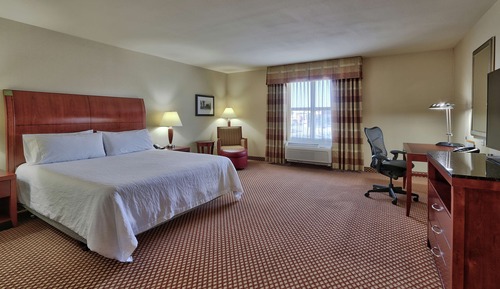 Room, 1 King Bed, Accessible