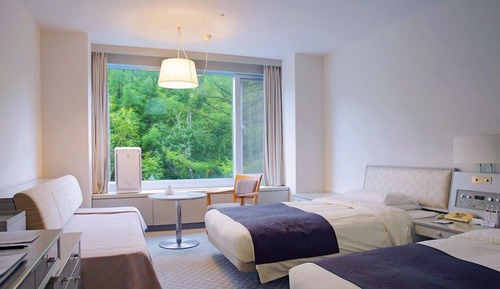 Standard Twin Room, Non Smoking (with wifi access)