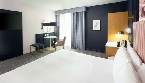 Room, 1 King Bed
