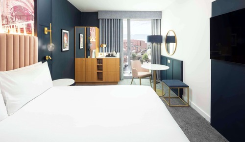 Room, 1 King Bed