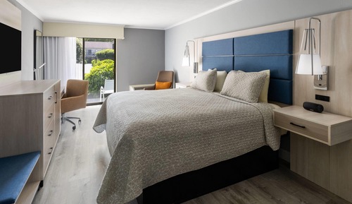 Deluxe Room, 1 King Bed, Non Smoking, Patio