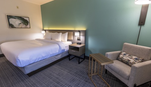 Standard Room, 1 King Bed, Non Smoking