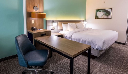 Suite, 1 King Bed with Sofa bed, Non Smoking