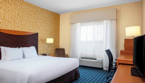 Room, 1 King Bed