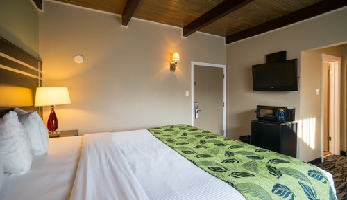 Standard Room, 1 King Bed