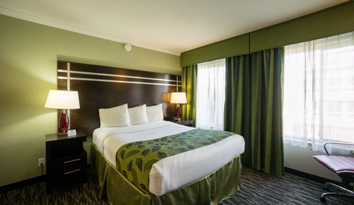 Standard Room, 1 Queen Bed