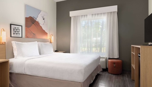 Room, 1 King Bed, Accessible, Bathtub