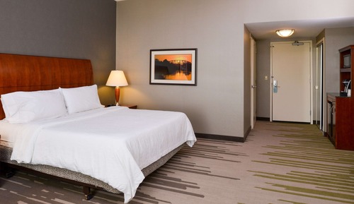 Room, 1 King Bed, Accessible (3x3 Shower)