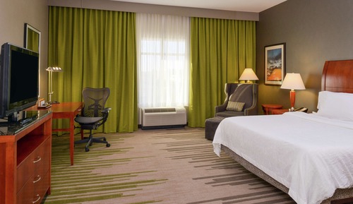 Room, 1 King Bed, Accessible (Roll-in Shower)