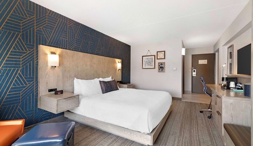 Standard Room, 1 King Bed, Non Smoking, Refrigerator