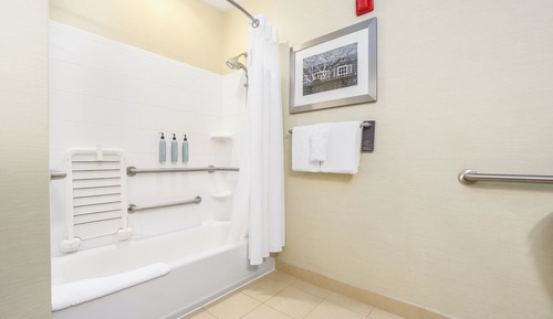 Room, 1 King Bed with Sofa bed (Mobility/Hearing Accessible, Tub)
