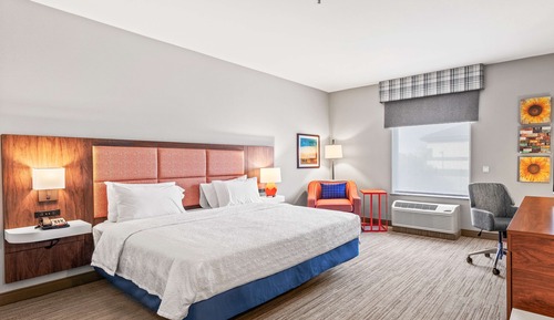 Room, 1 King Bed, Non Smoking