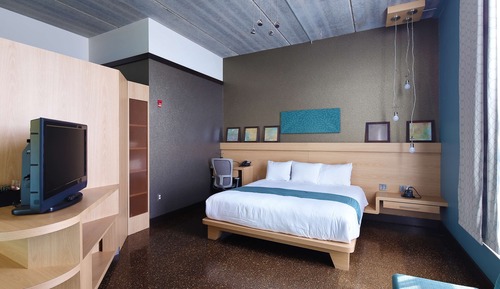 Standard Room, 1 King Bed, Accessible (Roll-In Shower)