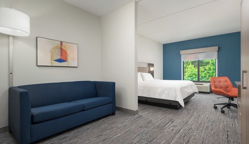 Suite, 1 King Bed (Additional Living Area)