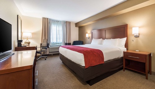 Room, 1 King Bed, Non Smoking (Accessible Tub)