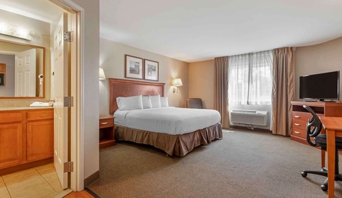 Standard Studio, 1 King Bed, Non Smoking, Refrigerator & Microwave